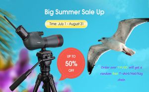 Summer Sale doloremque